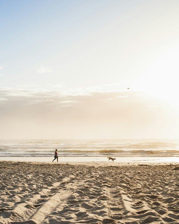 Le chat qui mord sans raison : vraiment ?